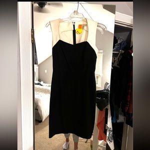 Banana republic fitted dress